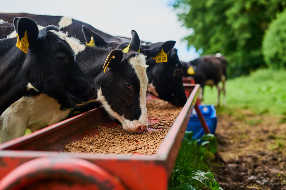 Agriculture & Livestock
