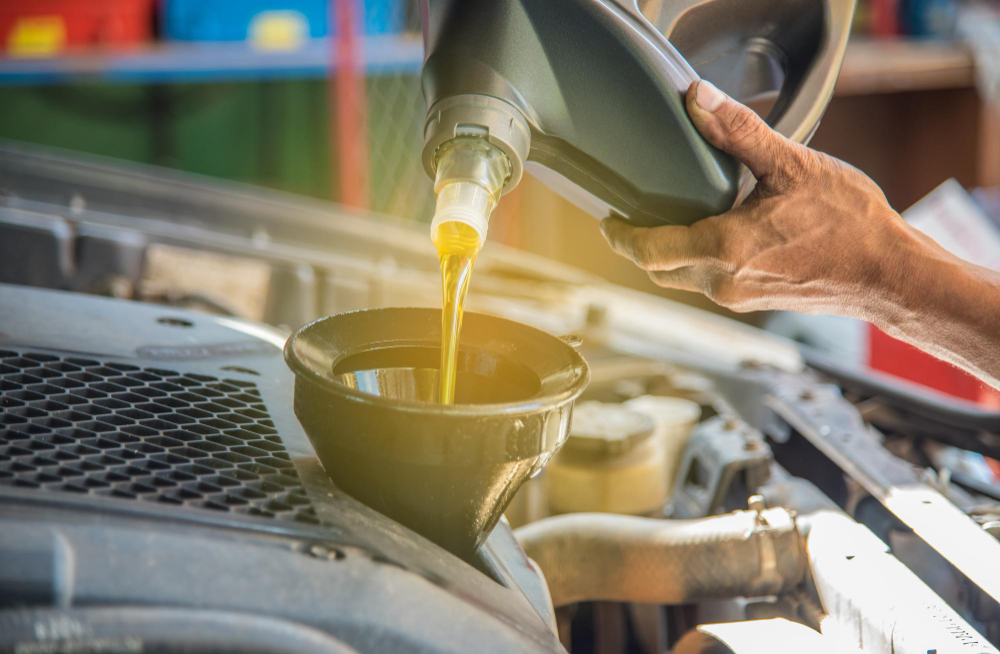 Biodiesel Production