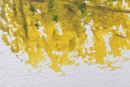 Texture Paints