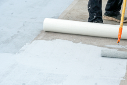 Roof Coating 1