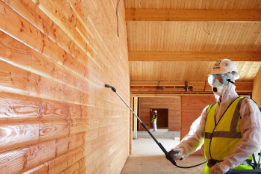Flame retardant paints